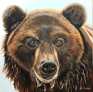 "Ursus" Acrylique sur toile 80 x 80 cm