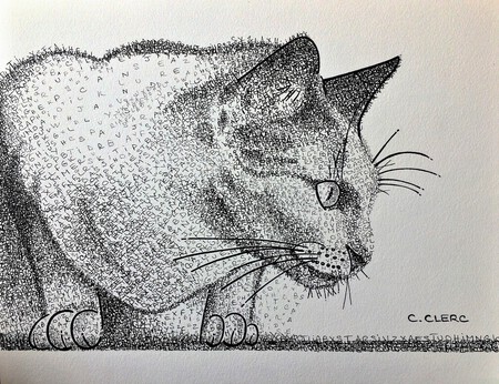 "AlphaChat" Encre de chine sur papier Aquarelle 300 gr 32 x 41 cm - Offert suite tirage au sort -