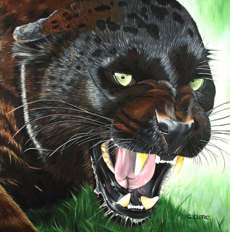 "Bagheera" Acrylique sur toile 100x100 cm - DISPONIBLE À LA VENTE  -