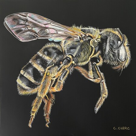 "Bee" Acrylique sur toile lin 50 x 50 cm - VENDU -