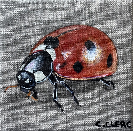 "Cocci 4" bis Acrylique sur toile lin 12 x 12 cm - VENDU -