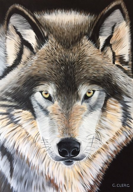 "Canis Lupus" Acrylique sur toile 65 x 92 cm - VENDU -