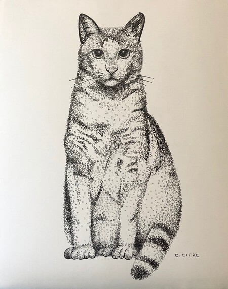 "Hatchi" Encre de chine sur papier de cr&eacute;ation 40 x 50 cm - VENDU -