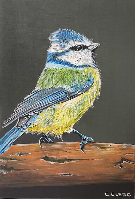 "Little Bird" Acrylique sur toile lin - 24 x 35 cm - VENDU -