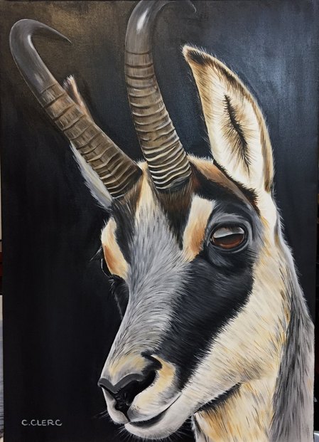 "L'isard" Acrylique sur toile 50 x 70 cm - DISPONIBLE À LA VENTE -