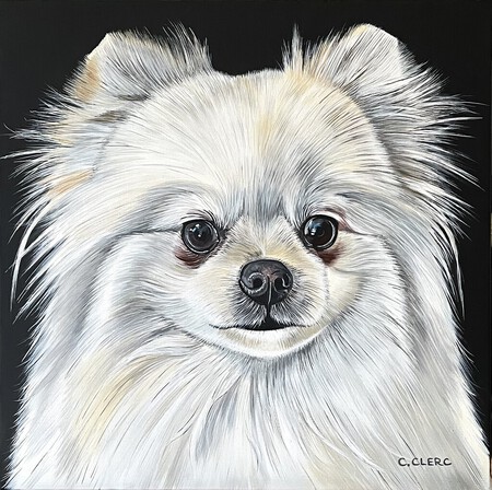 "Peluche" Acrylique sur toile 50 x 50 cm - VENDU -