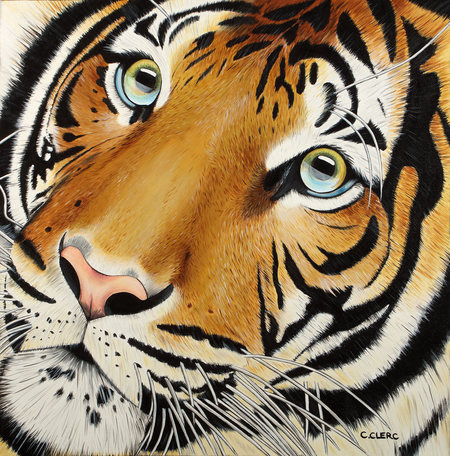 "Rom&eacute;o" Acrylique sur toile 80 x 80 cm - VENDU -
