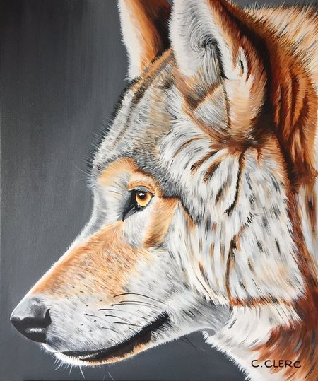 "RUFUS" Acrylique sur toile 50 x60 cm - VENDU -