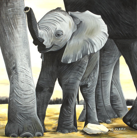 "Sabarry" Acrlylique sur toile 90x90 cm - DONS à L'ASSOCIATION "WILDLIFE ANGEL "-